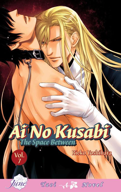 Ai No Kusabi The Space Between Volume 7 Ai No Kusabi 7 1st Rieko Yoshihara