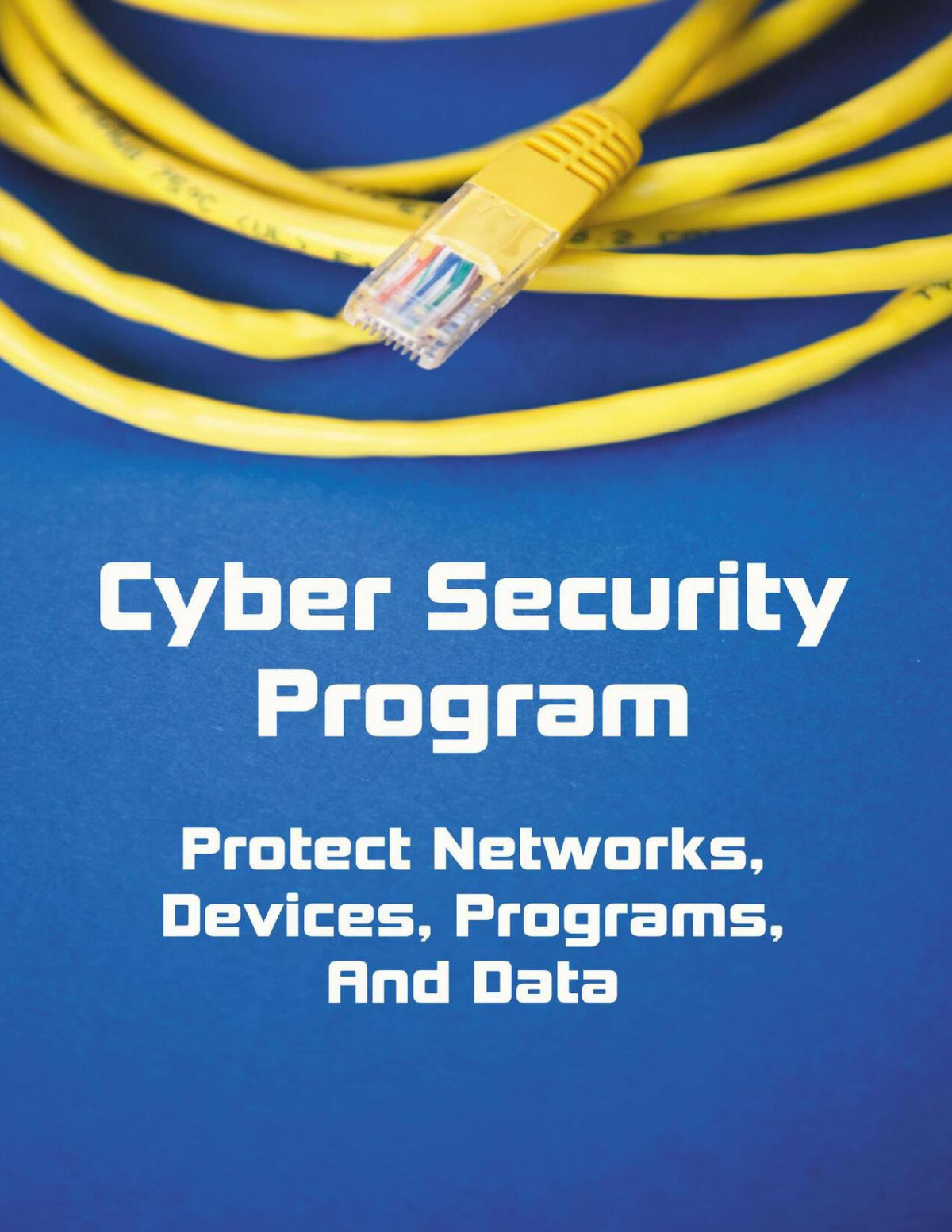 Cyber Security Program Protect Networks Devices Programs And Data Luce