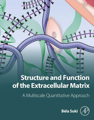 Structure And Function Of The Extracellular Matrix A Multiscale Quantitative Approach 1st Edition Bela Suki