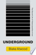 Underground The Secret Life Of Videocassettes In Iran Infrastructures Atwood