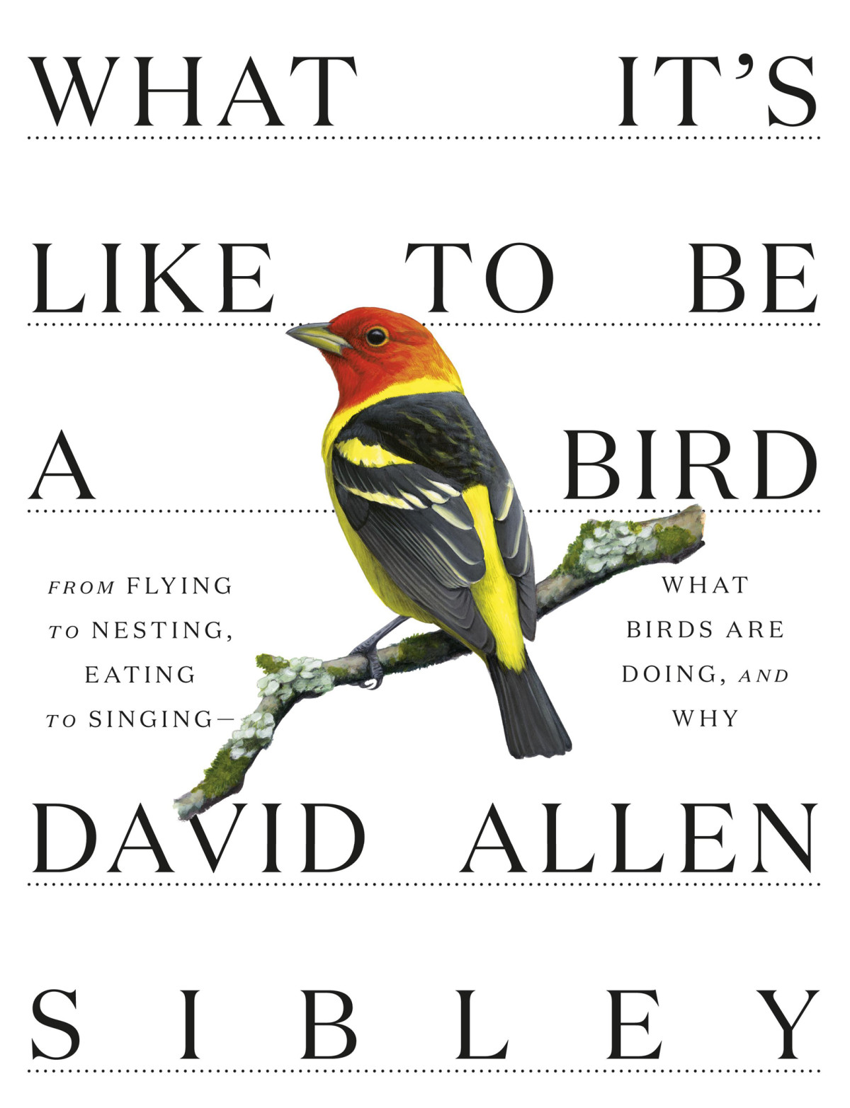 What Its Like To Be A Bird David Allen Sibley