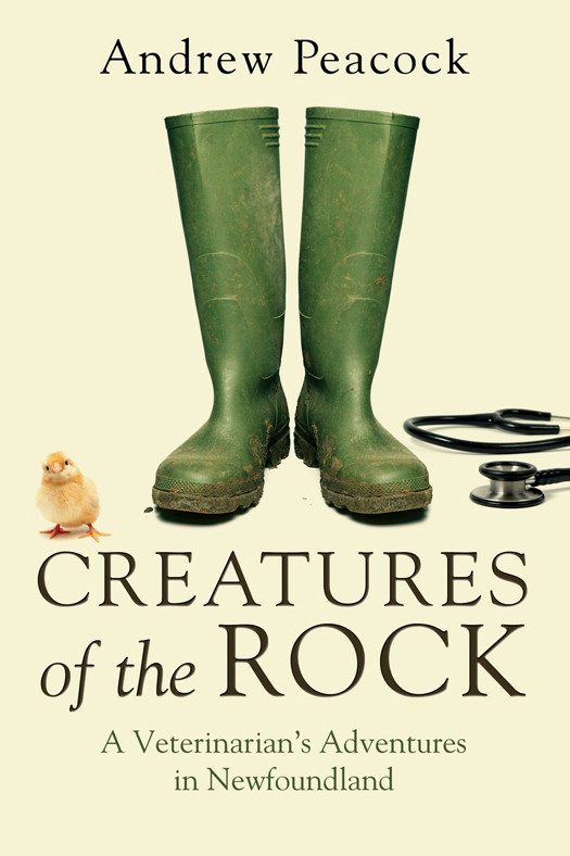 Creatures Of The Rock Andrew Peacock