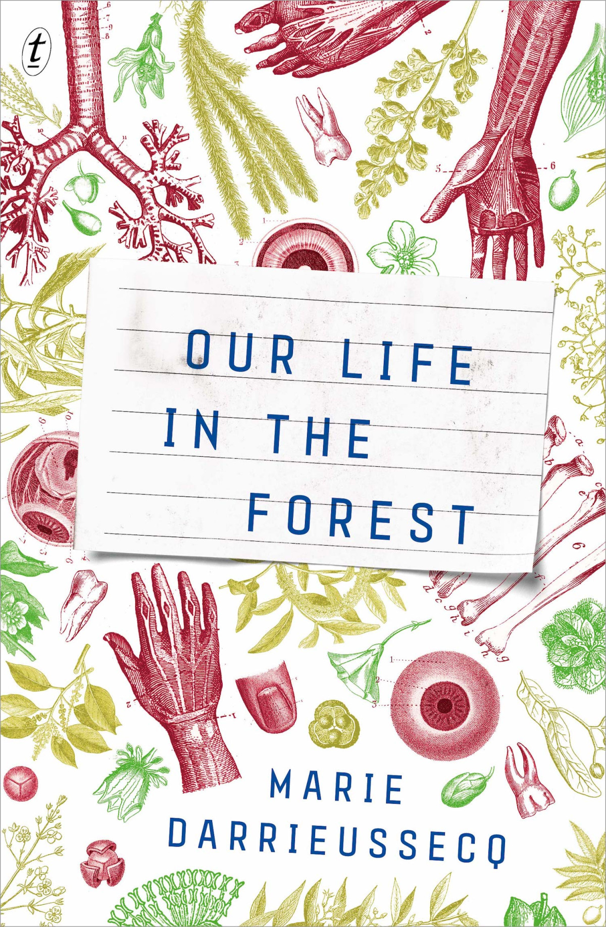 Our Life In The Forest Marie Darrieussecq Penny Hueston Translation