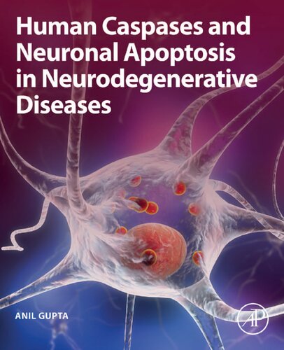 Human Caspases And Neuronal Apoptosis In Neurodegenerative Diseases 1st Edition Gupta