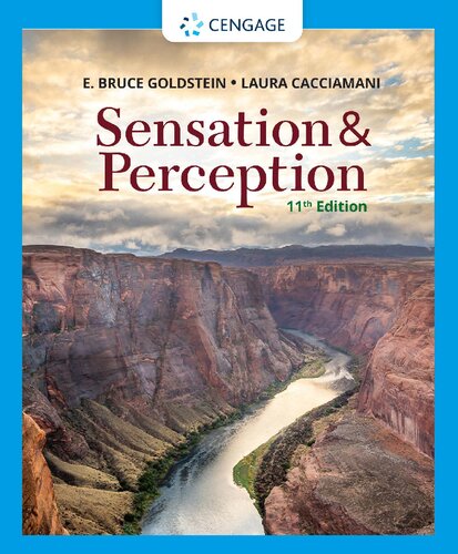 Sensation And Perception 11th Edition E Bruce Goldstein Laura Cacciamani