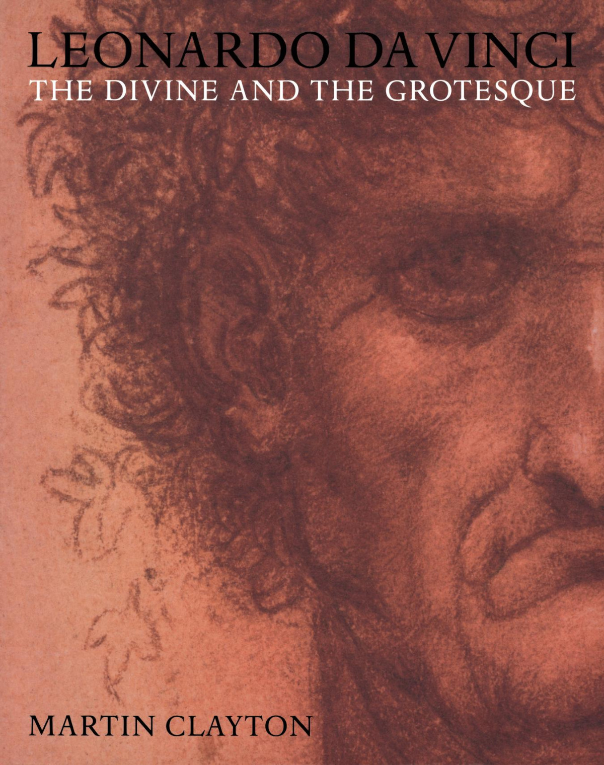 Leonardo Da Vinci Martin Clayton