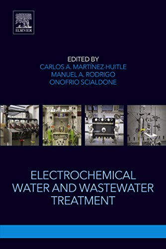 Electrochemical Water And Wastewater Treatment Manuel A Rodrigo Editor Carlos A Martnezhuitle Editor Onofrio Scialdone Editor