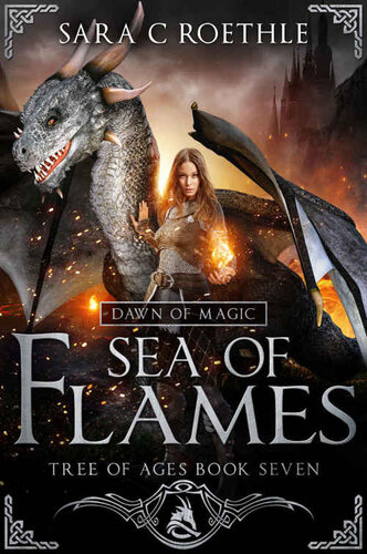 Sea Of Flames Sara C Roethle