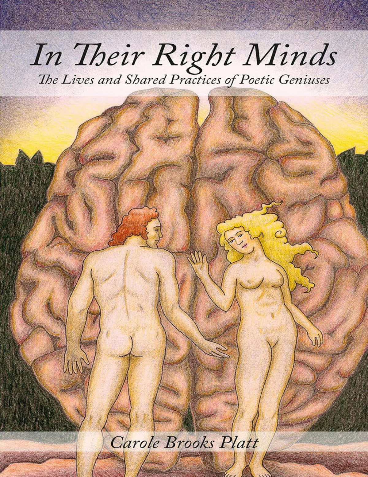 In Their Right Minds The Lives And Shared Practices Of Poetic Geniuses Platt