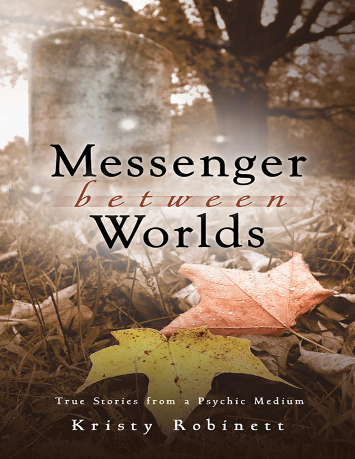 Messenger Between Worlds True Stories From A Psychic Medium Kristy Robinett