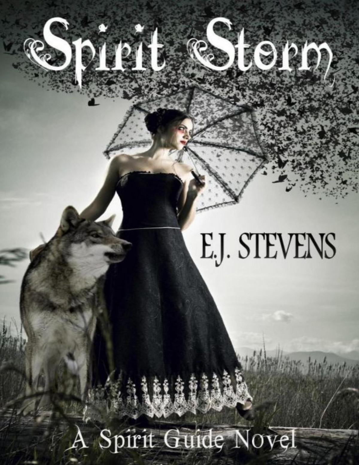 Spirit Storm Spirit Guide Book 2 E J Stevens