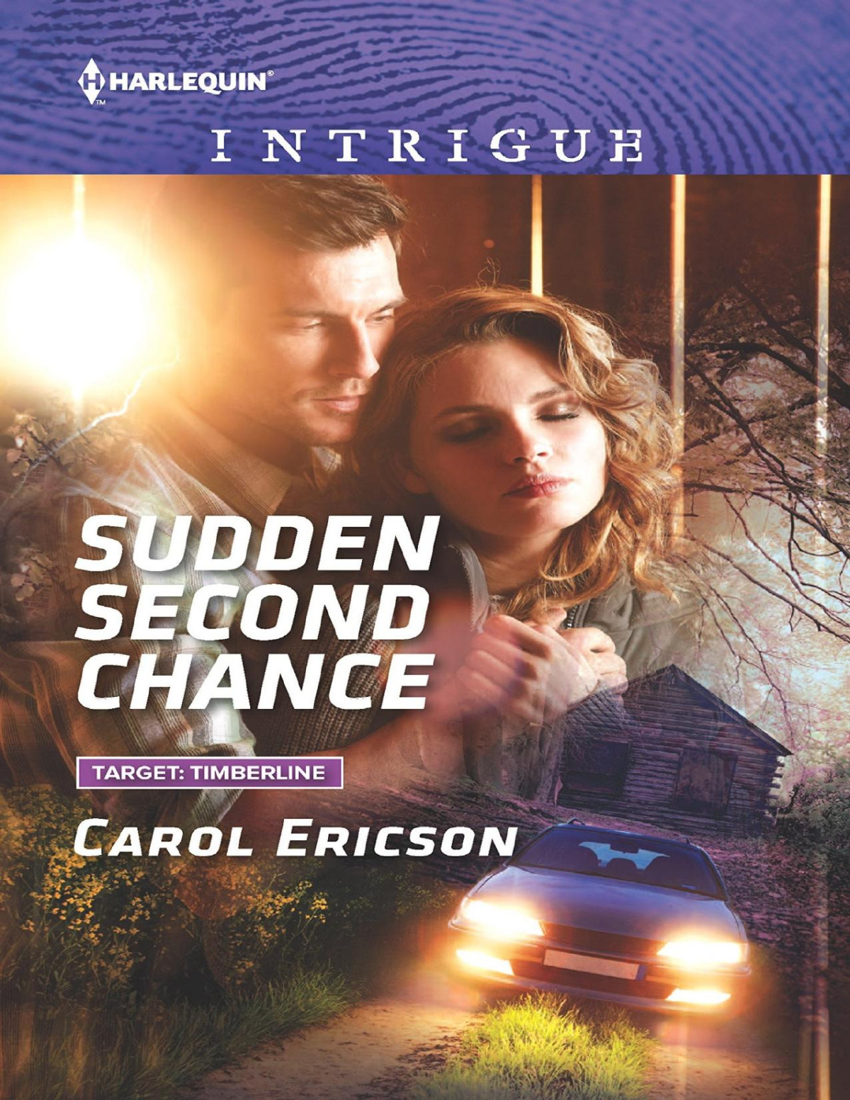 Sudden Second Chance Carol Ericson
