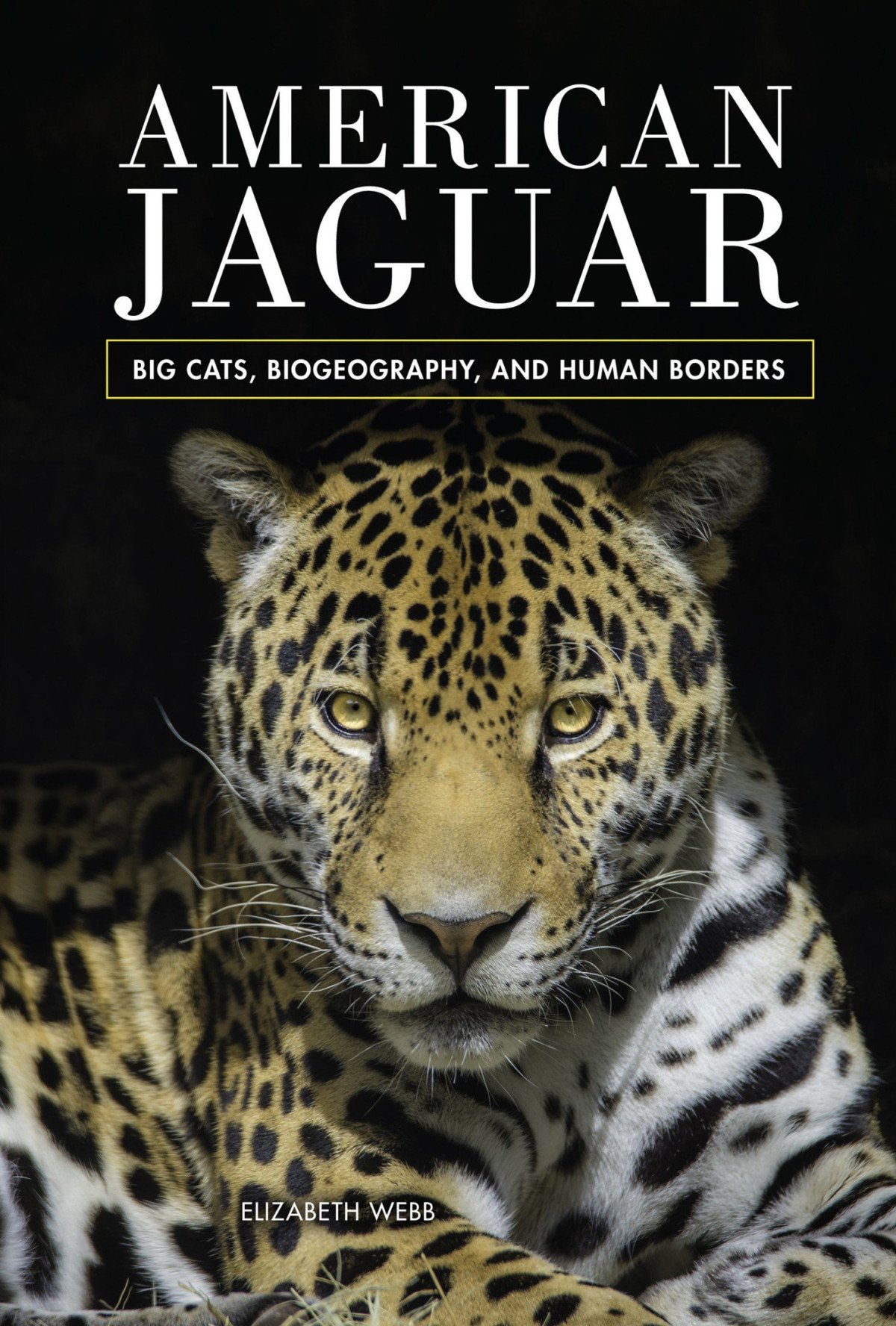American Jaguar Big Cats Biogeography And Human Borders Elizabeth Webb