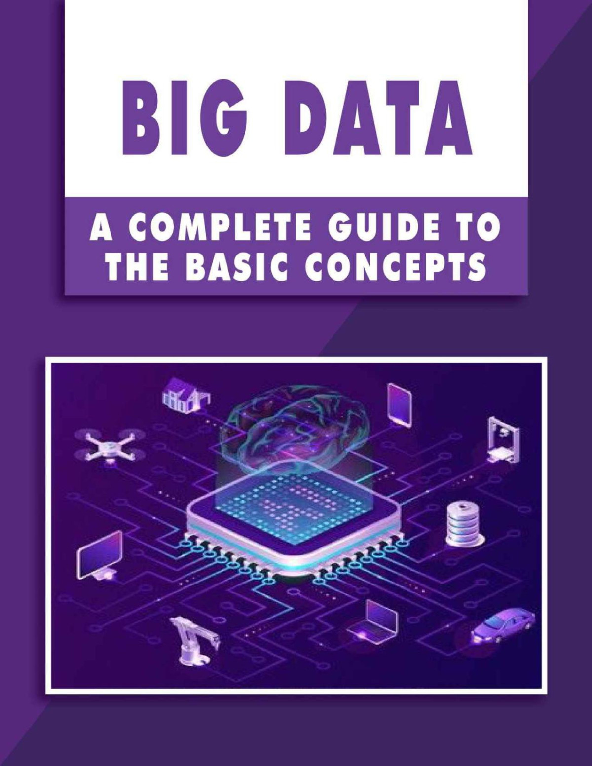 Big Data A Complete Guide To The Basic Concepts Roman Hibbert