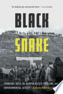 Black Snake Standing Rock The Dakota Access Pipeline And Environmental Justice Todrys