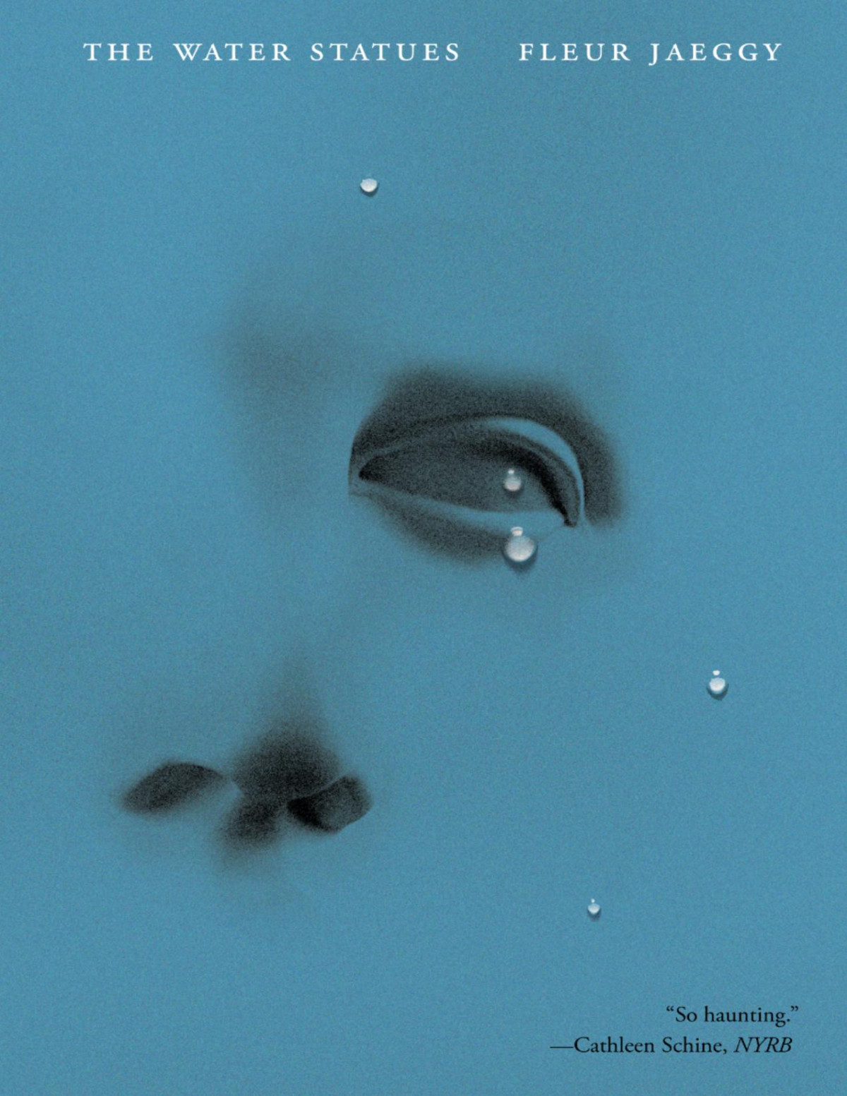The Water Statues Fleur Jaeggy