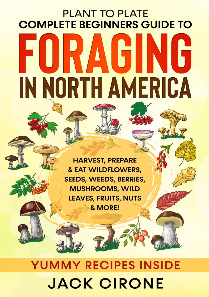 Plant To Plate Complete Beginners Guide To Foraging In North America Harvest Prepare Eat Wildflowers Seeds Weeds Berries Mushrooms Wild Leaves Fruits Nuts More Jack Cirone
