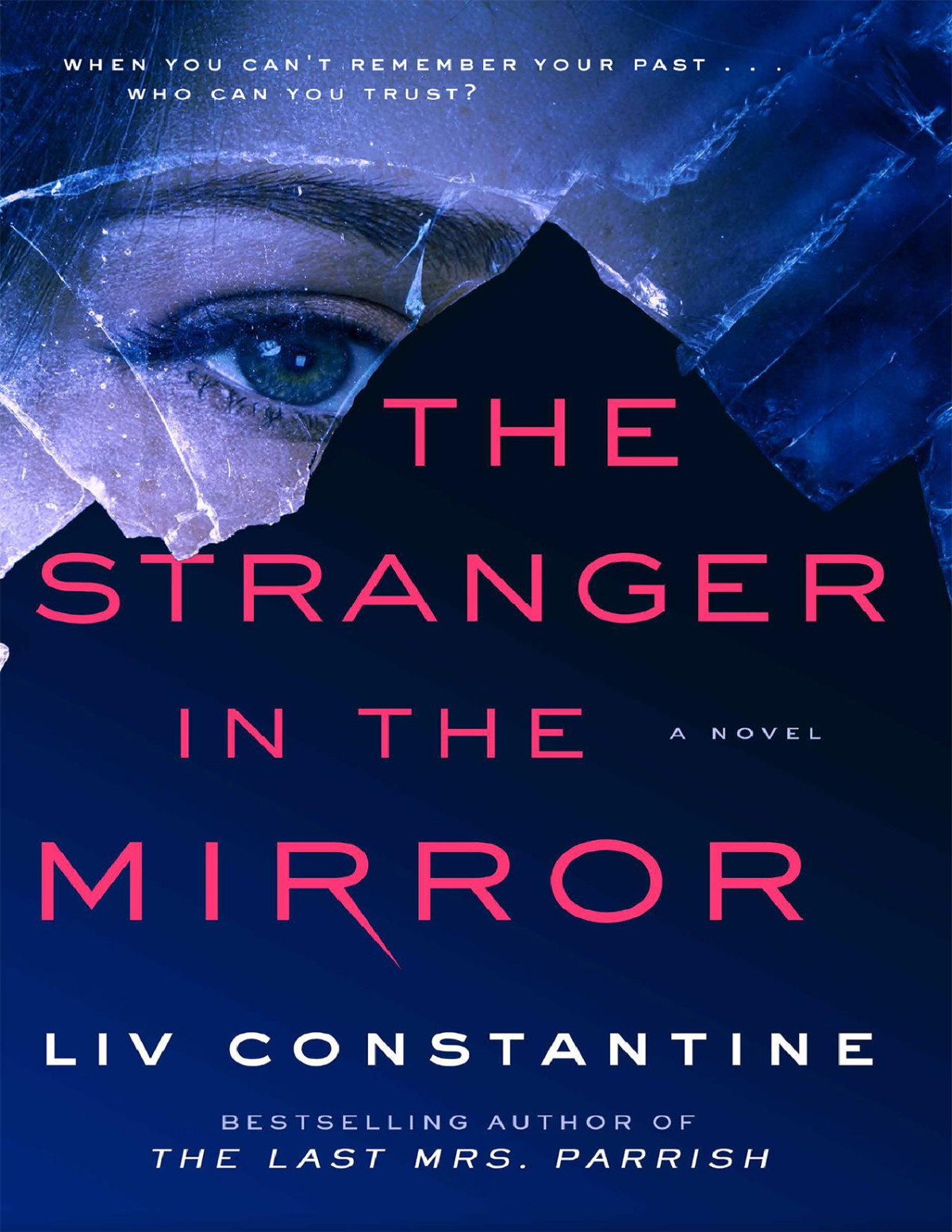 The Stranger In The Mirror Liv Constantine