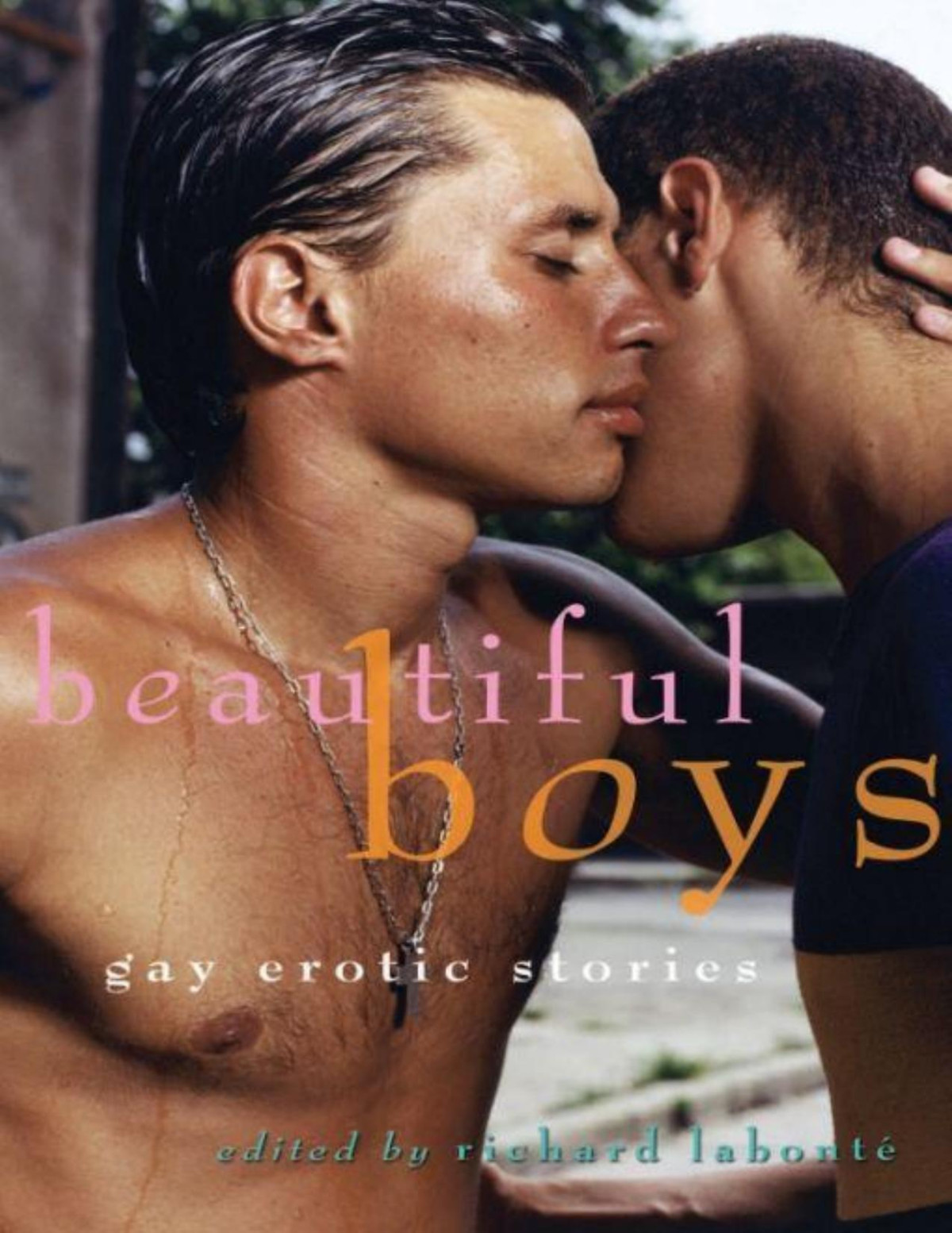 Beautiful Boys Gay Erotic Stories Richard Labonte Editor