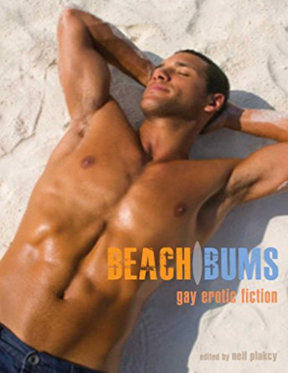 Beach Bumsgay Erotic Fiction Neil Plakcy