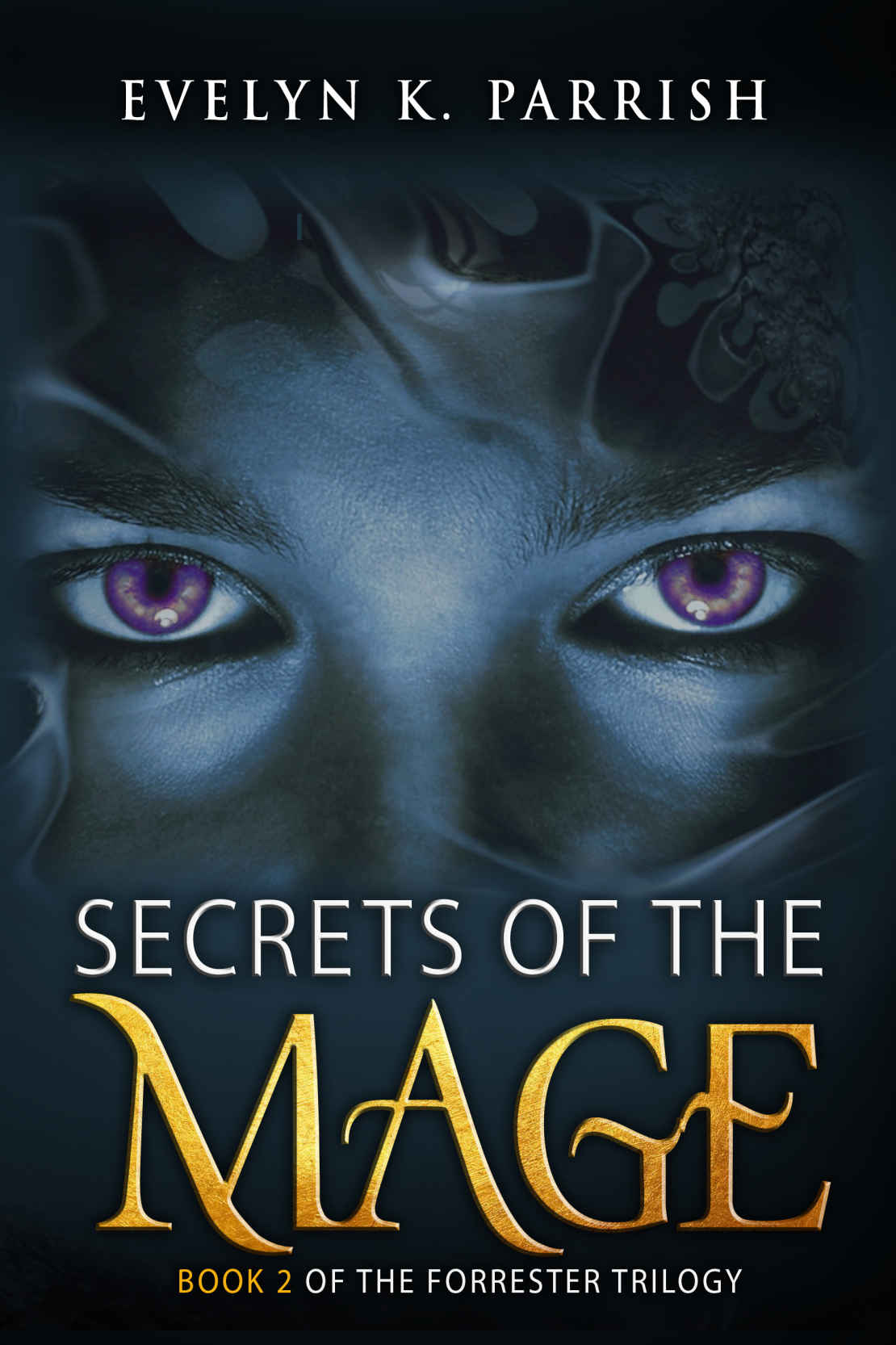 Secrets Of The Mage Evelyn K Parrish