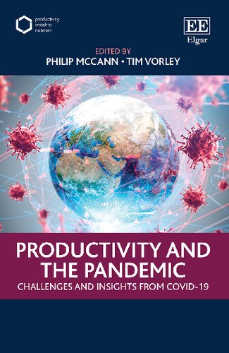 Productivity And The Pandemic Challenges And Insights From Covid19