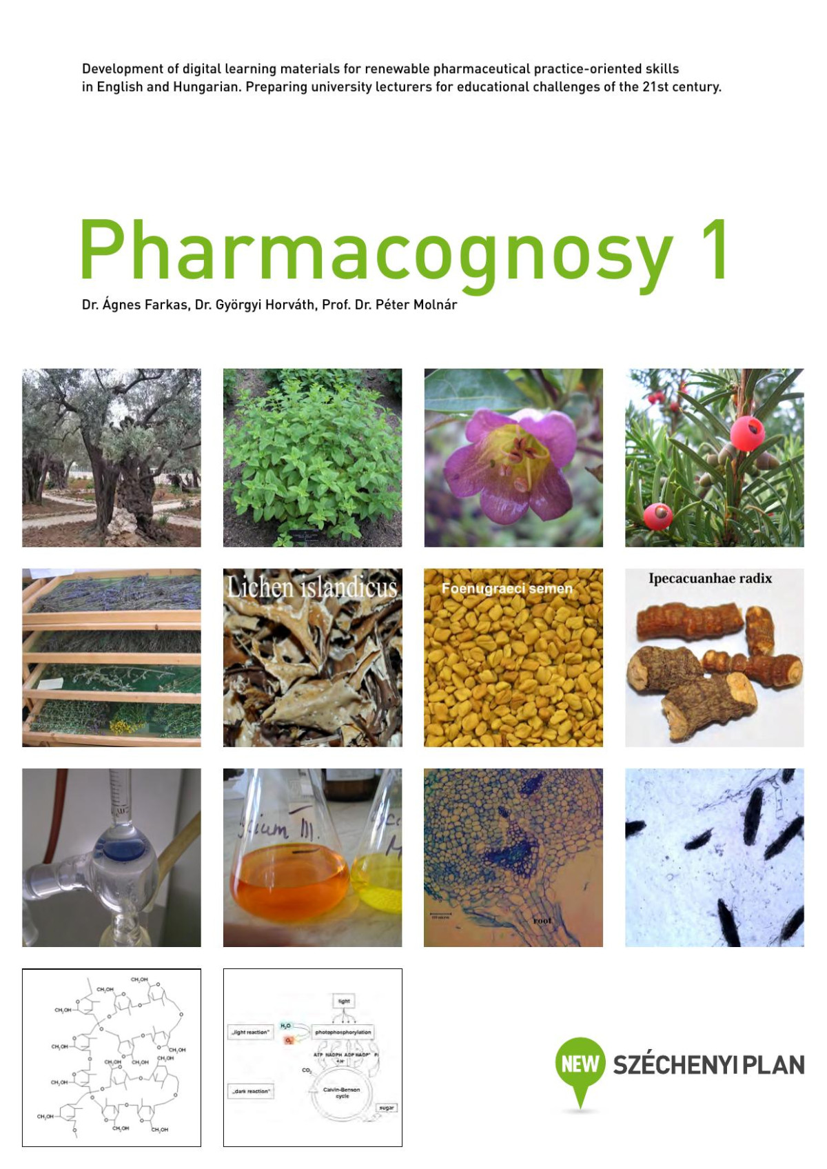 Pharmacognosy 1 ágnes Farkas Györgyi Horváth Péter Molnár