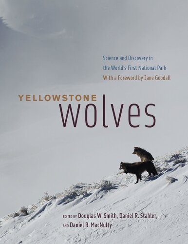 Yellowstone Wolves Science And Discovery In The Worlds First National Park Douglas W Smith