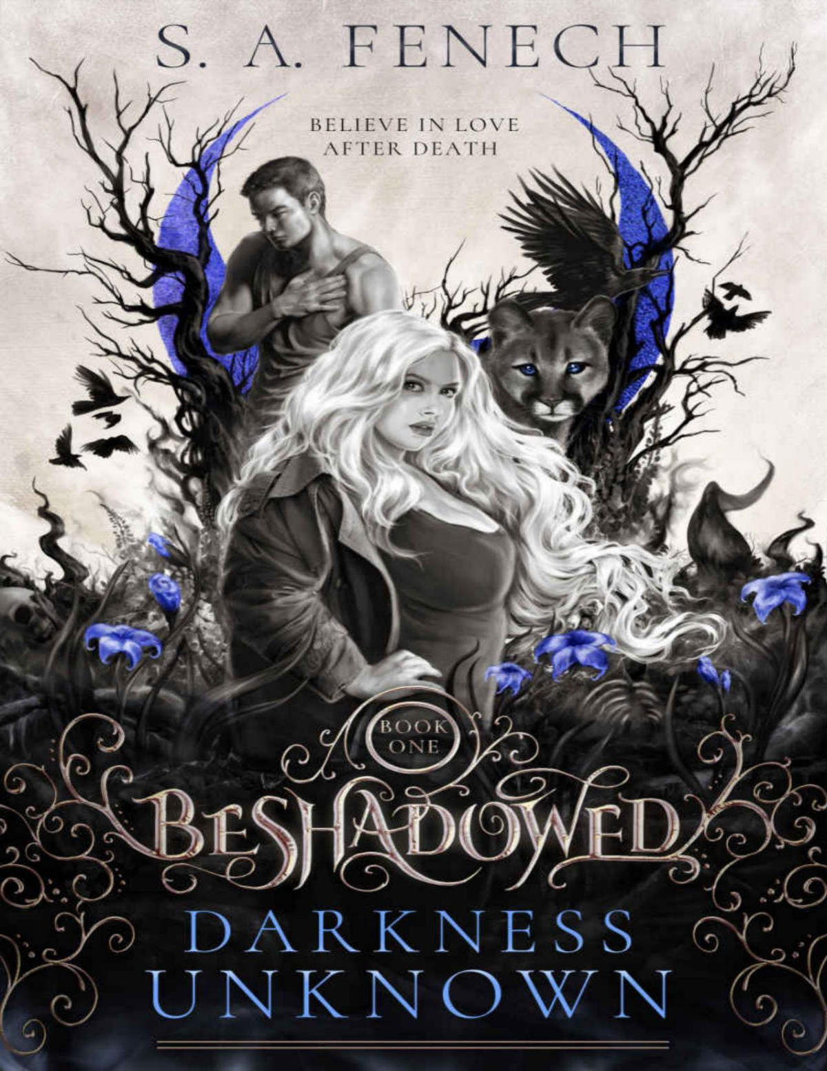 Darkness Unknown Beshadowed 1 Fenech Sa