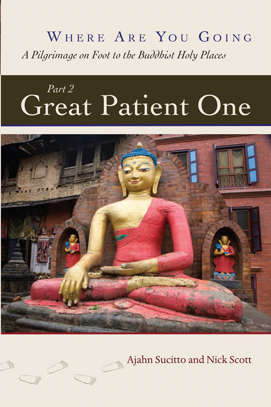 Great Patient One Ajahn Sucitto Nick Scott