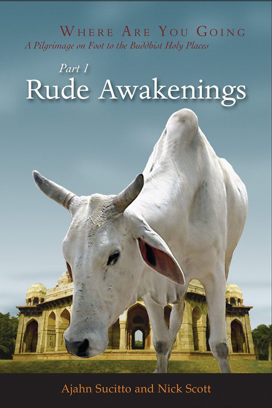 Rude Awakenings Ajahn Sucitto Nick Scott