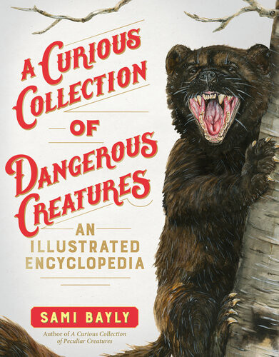 A Curious Collection Of Dangerous Creatures Sami Bayly