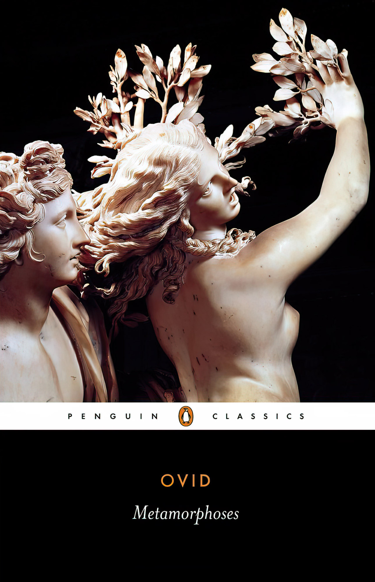 Metamorphoses Ovid David Raeburn