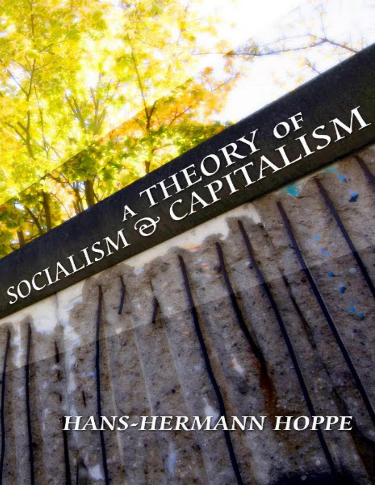 The Theory Of Socialism And Capitalism Hanshermann Hoppe