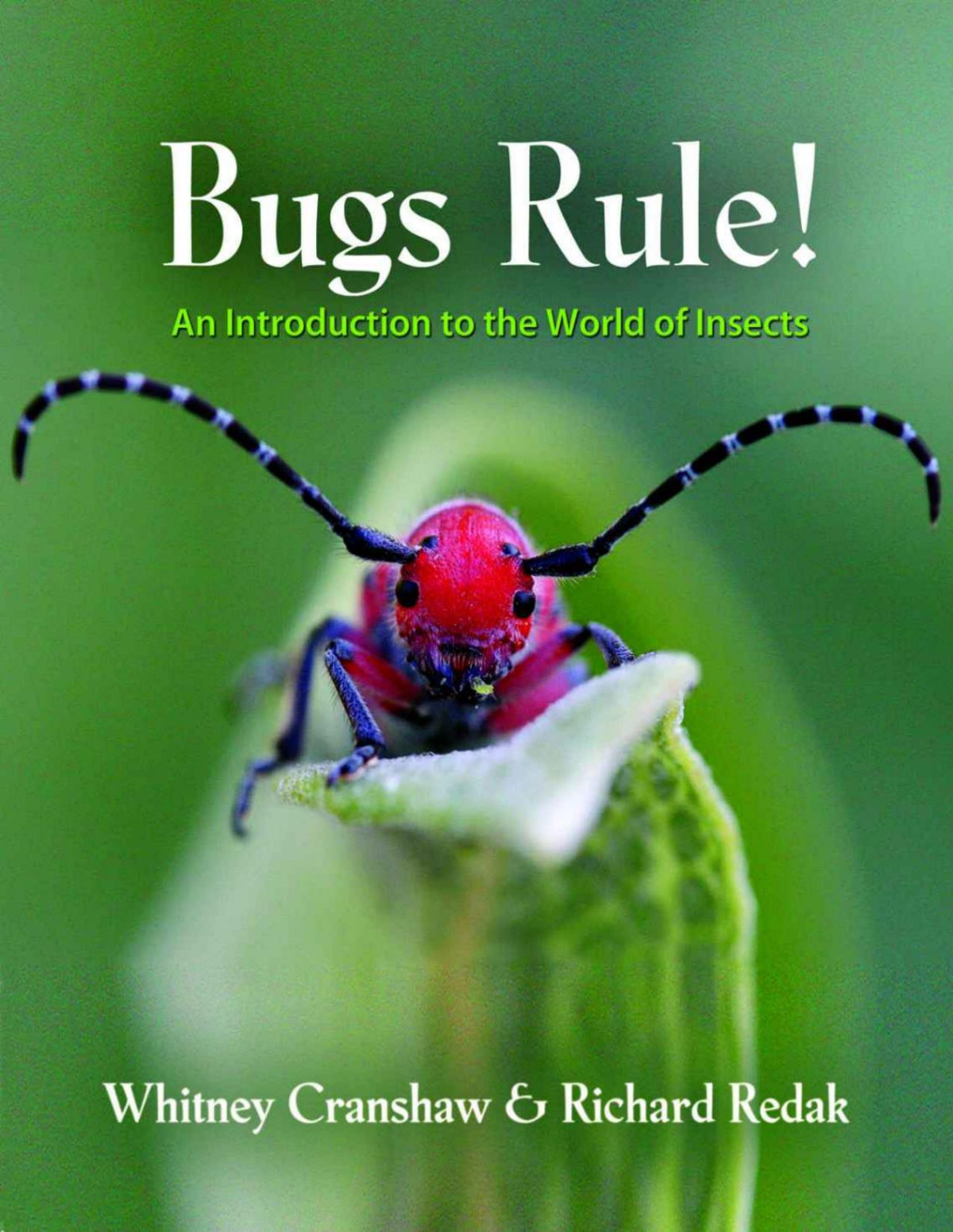 Bugs Rule An Introduction To The World Of Insects Whitney Cranshaw Richard Redak