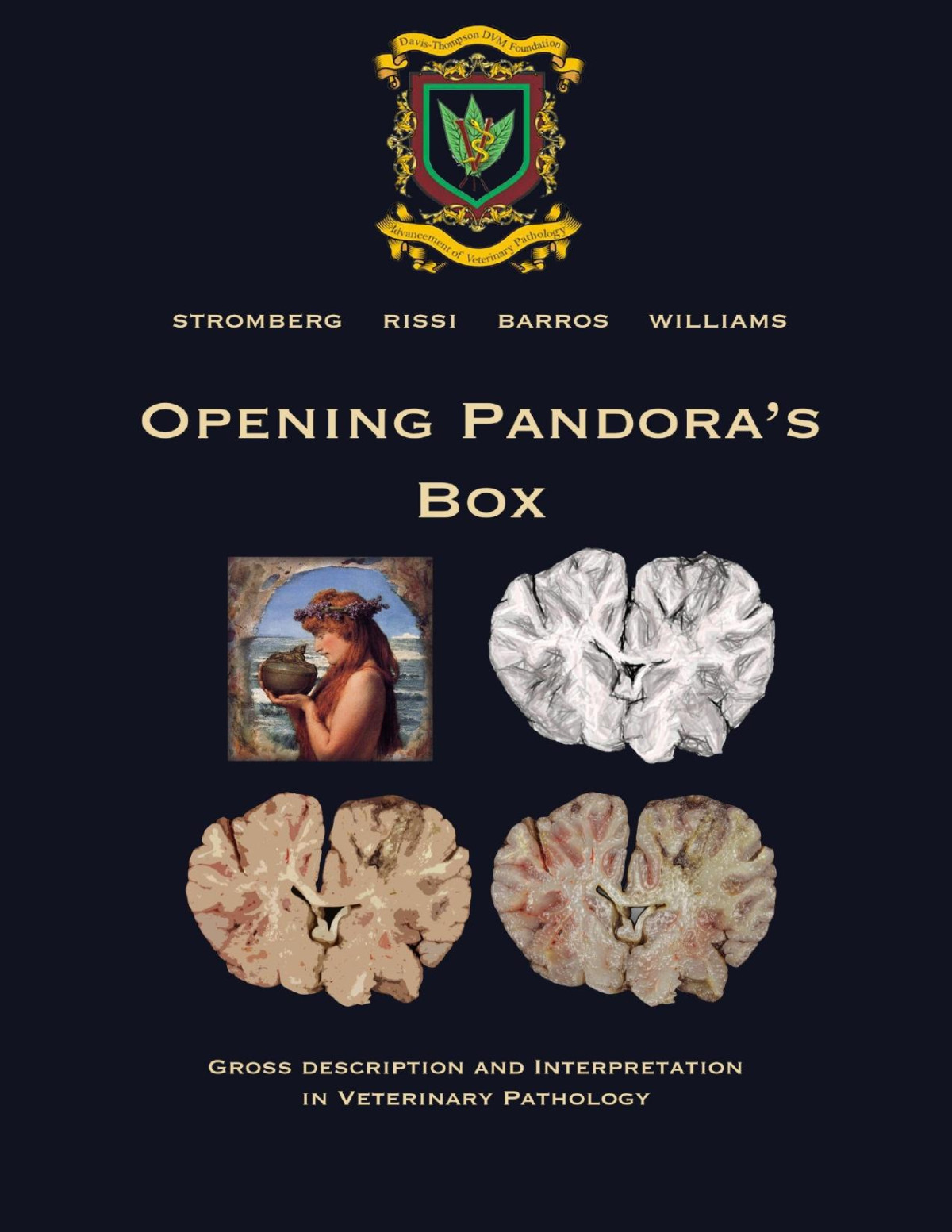 Opening Pandoras Box Gross Description And Interpretation In Veterinary Pathology Daniel Rissi