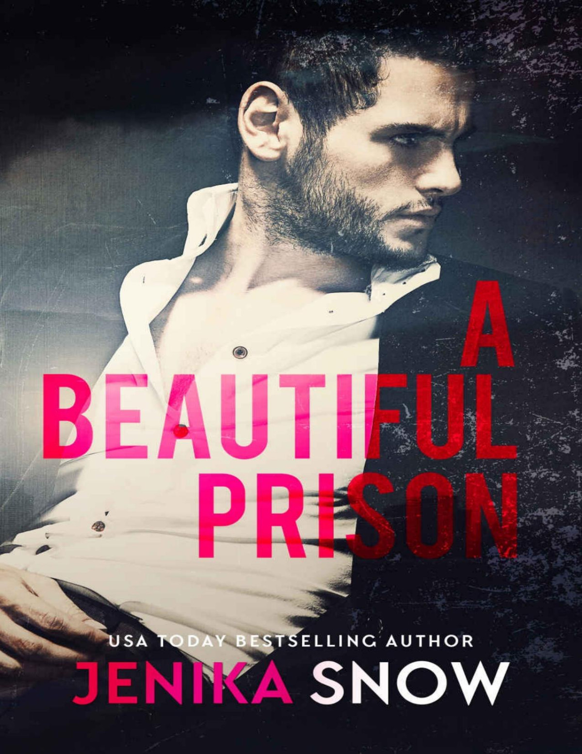 A Beautiful Prison Jenika Snow