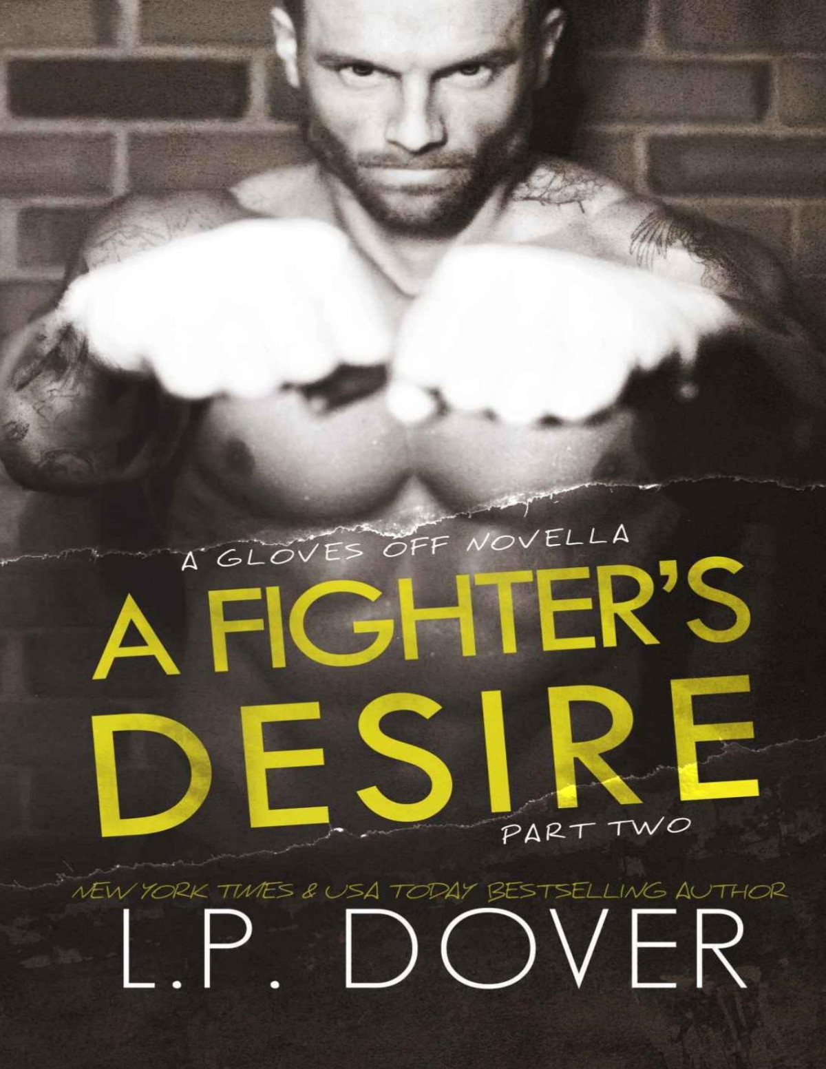 A Fighters Desire Part Two A Gloves Off Novel Lp Dover