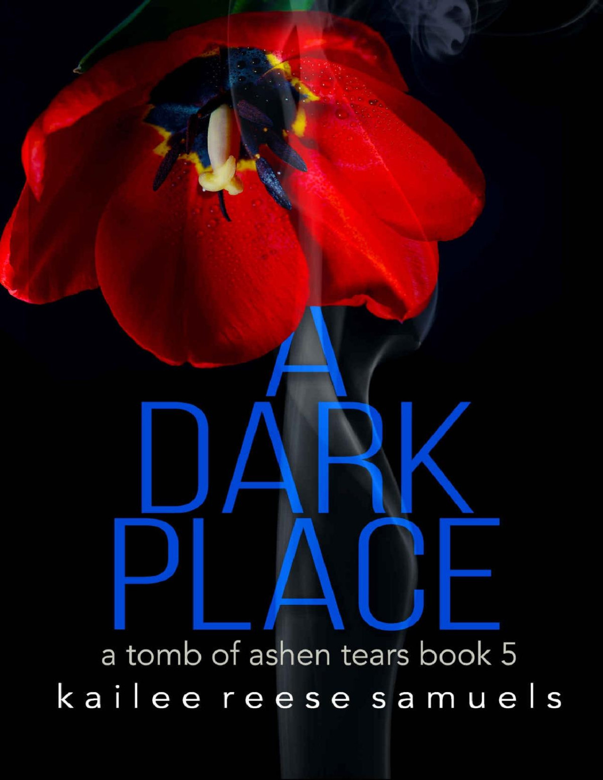 A Dark Place A Tomb Of Ashen Tears Book 5 Kailee Reese Samuels