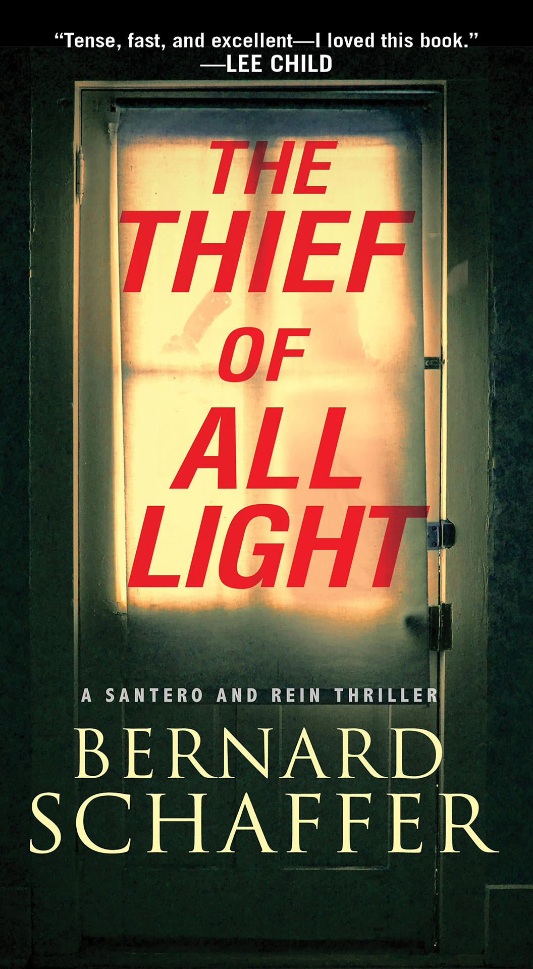 The Thief Of All Light Bernard Schaffer