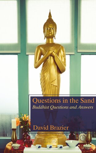 Questions In The Sand Buddhist Questions And Answers David Brazier