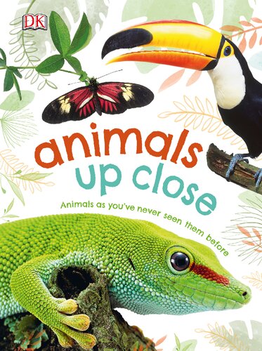 Animals Up Close Animals As Youve Never Seen Them Before Illustrated Dk