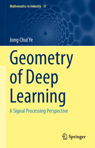 Geometry Of Deep Learning A Signal Processing Perspective 1st Ed 2021 Ye
