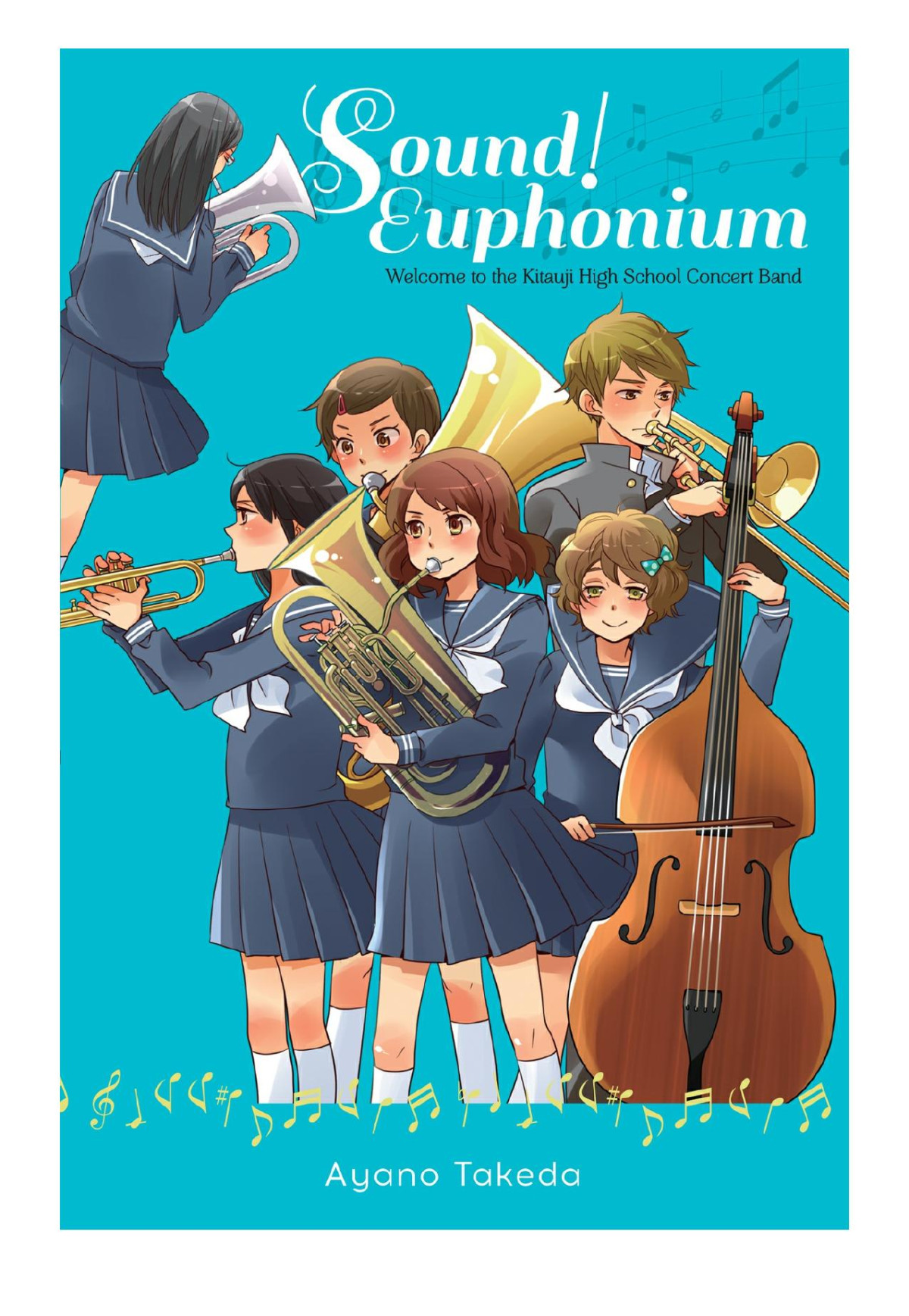 Sound Euphonium Light Novel Ayano Takeda