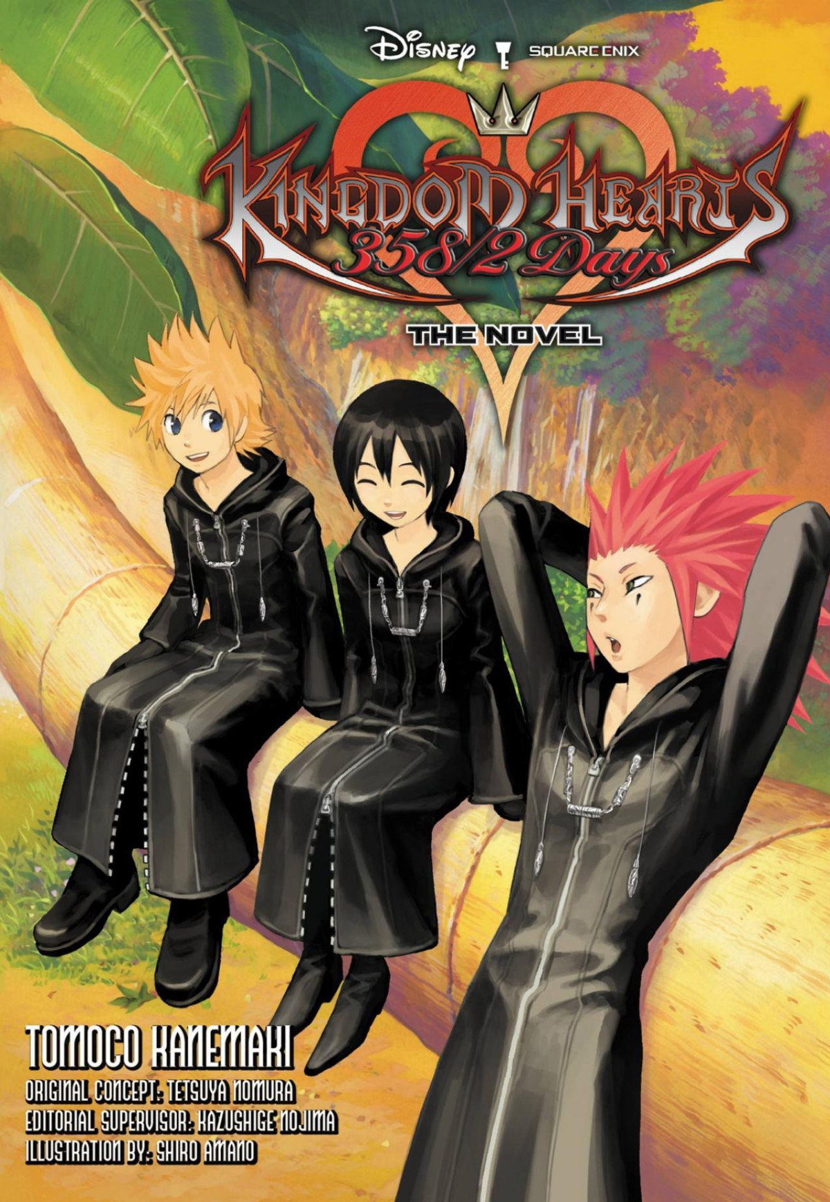 Kingdom Hearts 3582 Days The Novel Light Novel Tomoco Kanemaki Tetsuya Nomura Kazushige Nojima