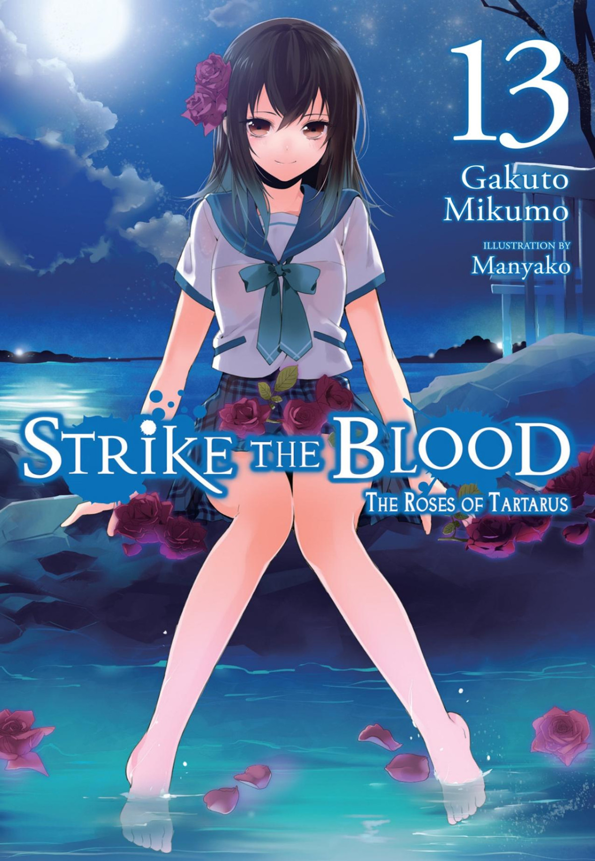 Strike The Blood Vol 13 Light Novel Gakuto Mikumo