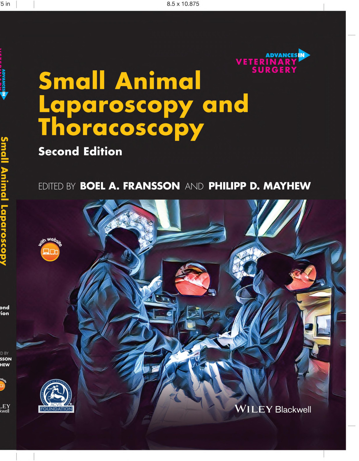 Small Animal Laparoscopy And Thoracoscopy 2nd Edition Boel A Fransson