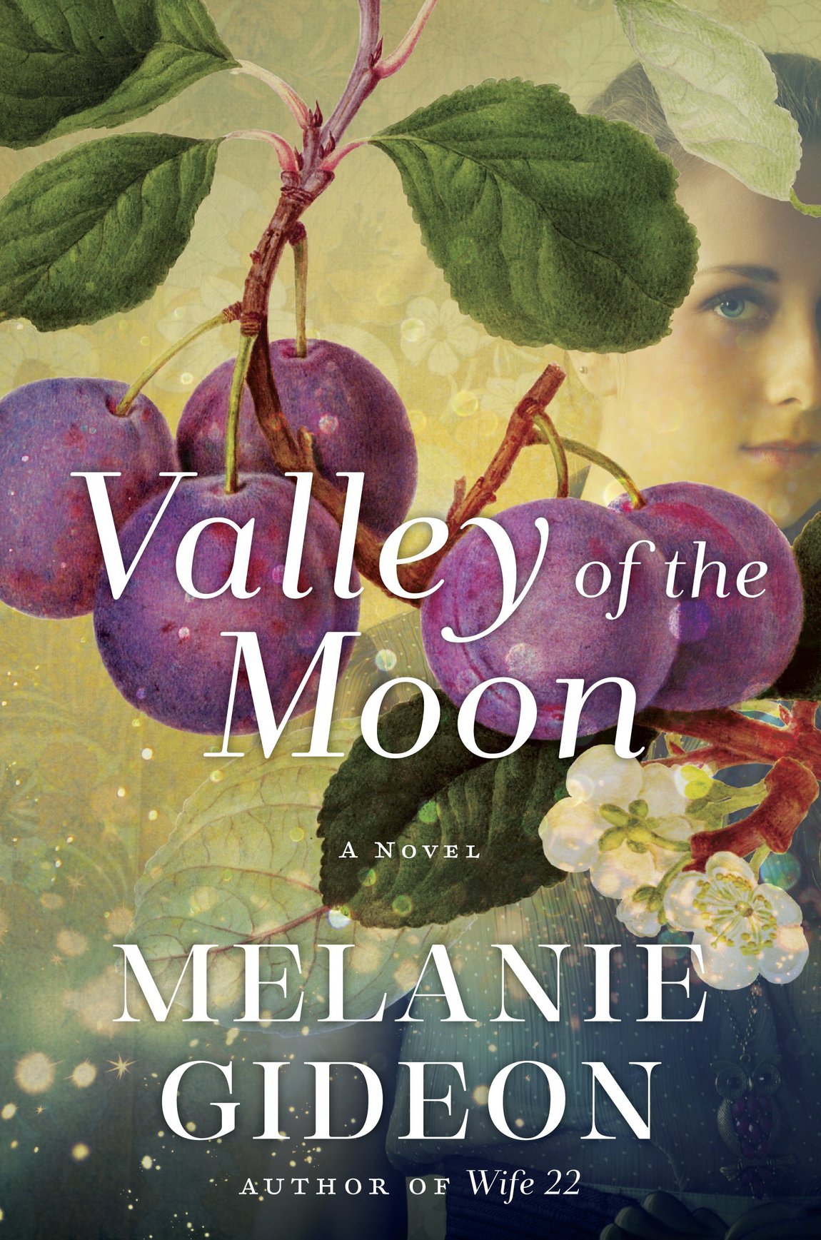 Valley Of The Moon Melanie Gideon