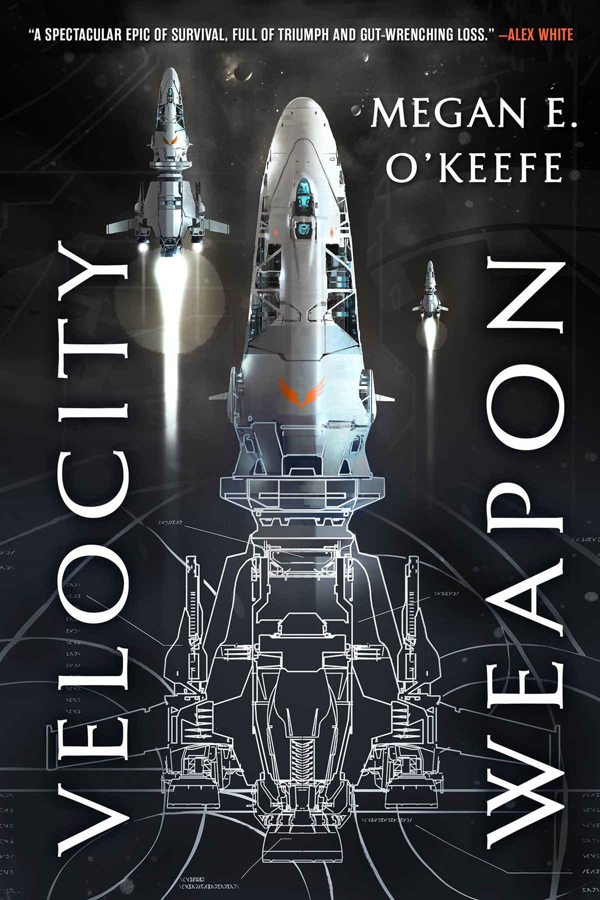 Velocity Weapon Megan E Okeefe