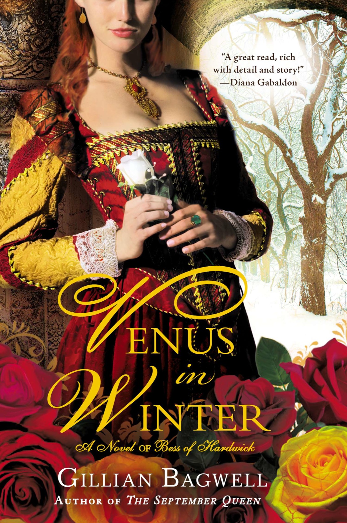 Venus In Winter Gillian Bagwell